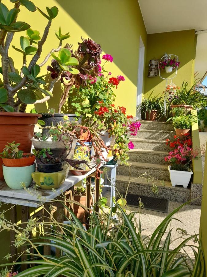 Апартаменты Corazon Do Val Da Lourina-Area Vigo Понтеведра Экстерьер фото