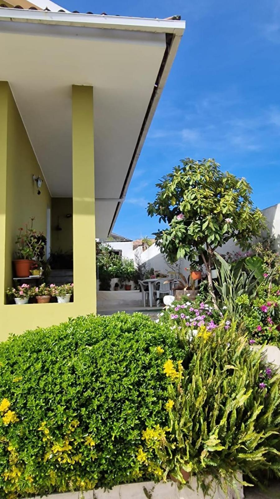 Апартаменты Corazon Do Val Da Lourina-Area Vigo Понтеведра Экстерьер фото